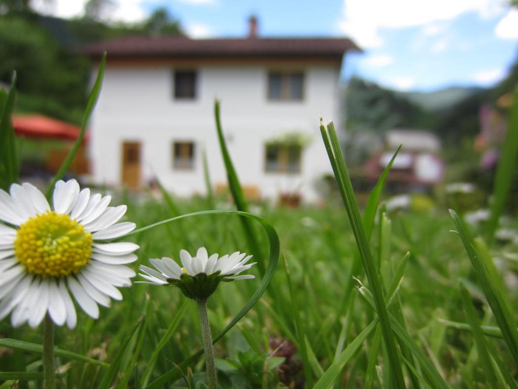 Heidi'S Schlummerkiste Am Fuss Der Teichalm Breitenau am Hochlantsch Exterior photo
