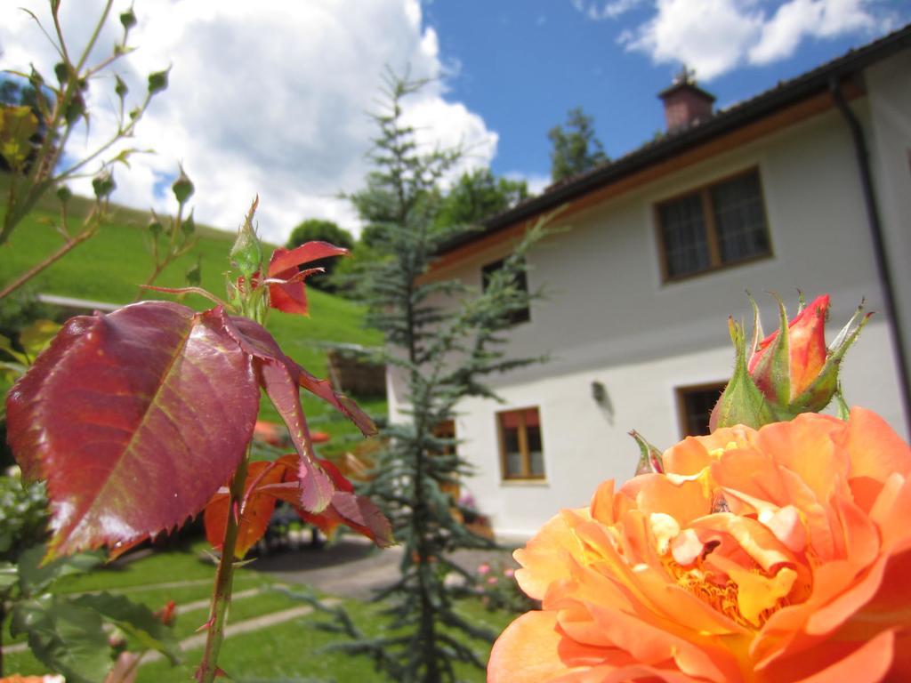 Heidi'S Schlummerkiste Am Fuss Der Teichalm Breitenau am Hochlantsch Exterior photo