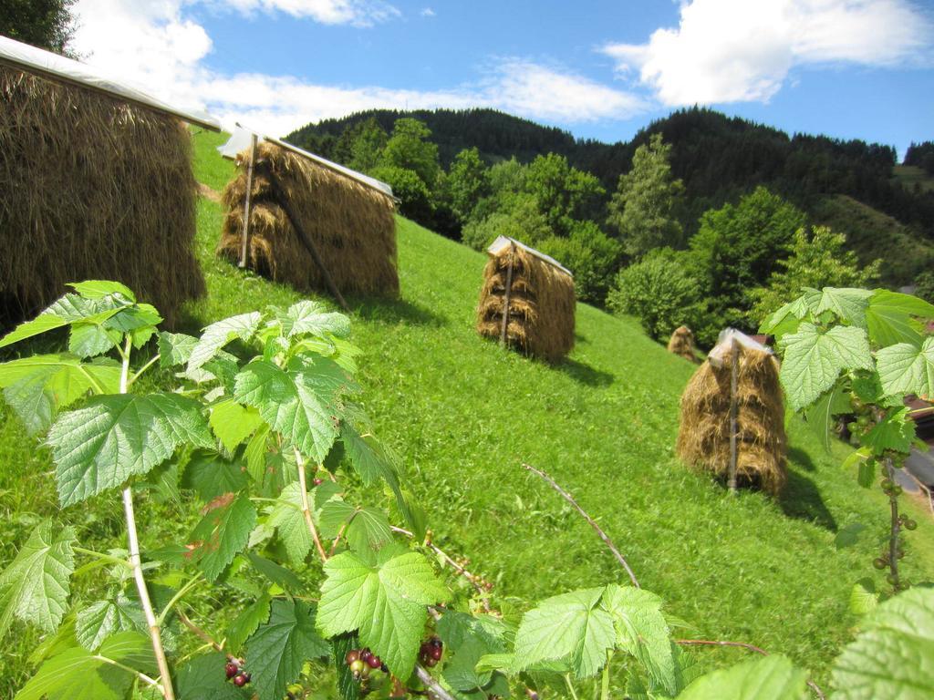 Heidi'S Schlummerkiste Am Fuss Der Teichalm Breitenau am Hochlantsch Exterior photo
